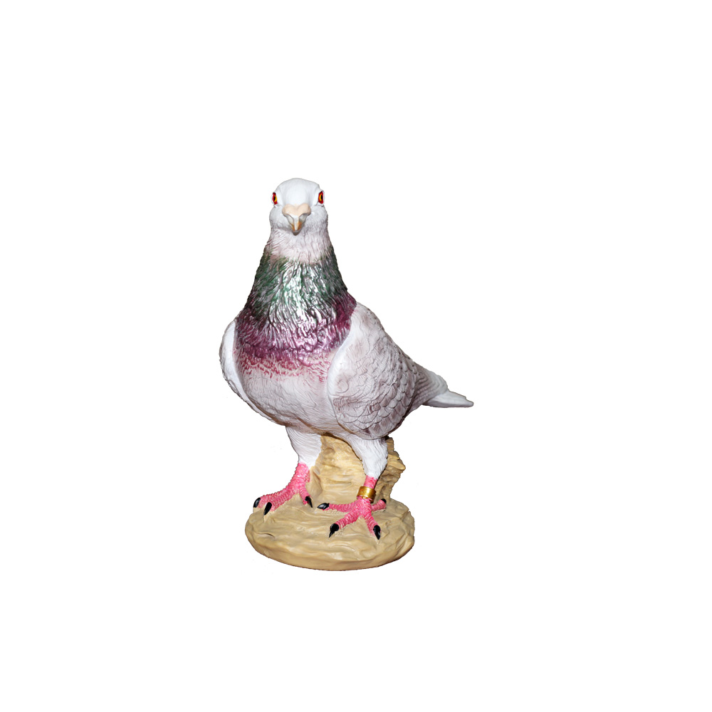 Pigeon statue  تمثال الحمام الزاجل أحمر